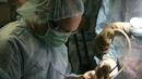 Петима зъболекари от София източили над 120 000 лв. от НЗОК за фиктивно лечение на деца
