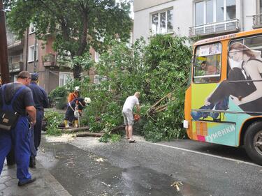 Градски автобус в Пловдив се удари в дърво