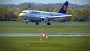 6.4 млн. долара глоба за Lufthansa в САЩ
