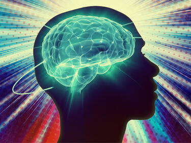 Учени откриха как да подмладят човешкия мозък