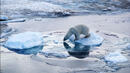 Аномалия в Арктика е причината за топлата зима
