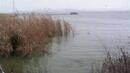 2 км бракониерски мрежи са иззети от езеро “Мандра”