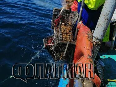 Рибари алармират: Рибата в Черно море изчезва, уловът ни се състои от риби с брадавици и екземи (ВИДЕО)