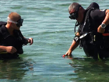Подводни археолози с богат „улов“ край бреговете на Созопол