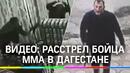 ММА файтър бе ликвидиран с Калашников докато обядва в ресторант в Дагестан ВИДЕО