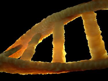 Учени: Генът ни определя как ще изкараме COVID-19