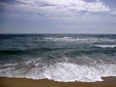 Морските води по Добруджанското крайбрежие са чисти
