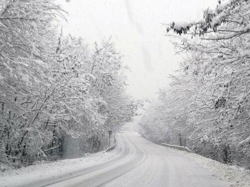 Мека зима в Европа прогнозира Световната метеорологична организация СМО която