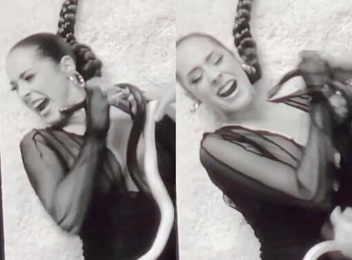 Американската певица беше ухапана от змия по време на снимките