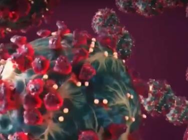 Т-клетките - с висока ефективност в борбата срещу Омикрон