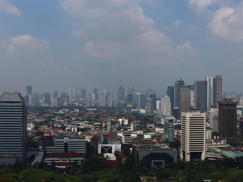 Индонезийският парламент прие законопроект за преместване на столицата от Джакарта в гориста