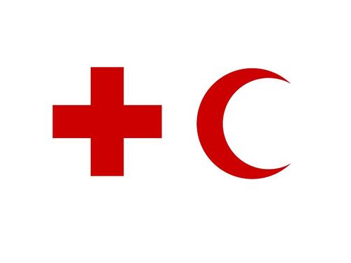Международният комитет на Червения кръст (МКЧК) призова днес Украйна и
