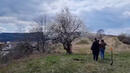 Засаждат над 3000 медоносни дръвчета в Перник
