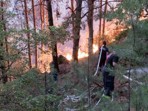 Пожарът над пазарджишките села Калугерово и Лесичово е напълно локализиран