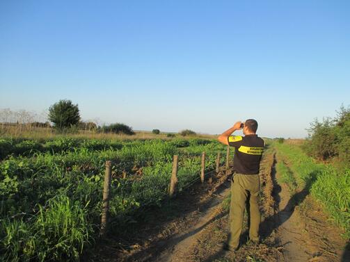 Намерени са гилзи от ловна карабина на територията на България