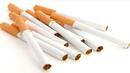 Един от водещите цигарени производители ще инвестира над $50 милиона във фабриката си в Сърбия