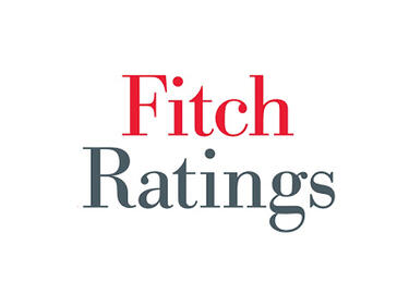 Fitch "отписа" влизането на България в еврозоната след 11 месеца
