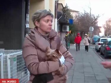 Куче от зла порода атакува със зъби столичанка и йоркширския й териер