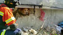 Куче бе спасено след 23 дни под отломките на срутила се сграда в Турция 