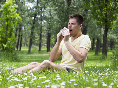 Според Американския колеж по алергии астма и имунология ACAAI алергиите
