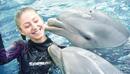 „Делфинариум Варна“ връща плуването с делфини от 1 май