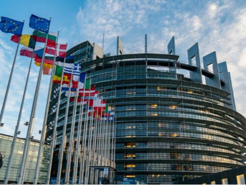 Групата на Европейския парламент за наблюдение на демокрацията върховенството на