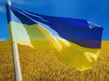 ЕК предупреди: Ще се наказват държавите-членки, спрели вноса на украинско зърно