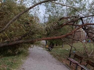 Бурята в София: Паднали клони на дървета, строителни огради, ламарини, рекламни пана