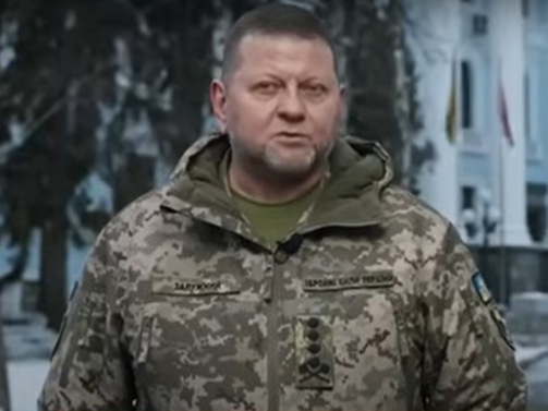 Главнокомандващият въоръжените сили на Украйна Валерий Залужни се е съгласил