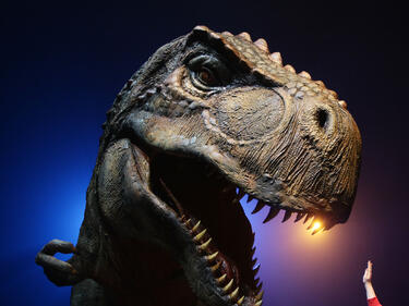 Варна ви предлага да влезете в 45-метров холивудски динозавър

