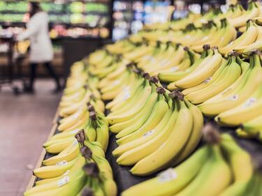 Бананите ще увеличат цената си заради климатичните промени