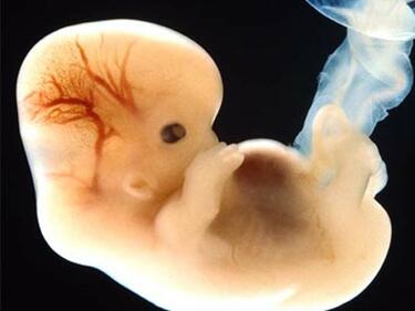 Нова технология ще позволи създаването на ембриони с гени от двама мъже
