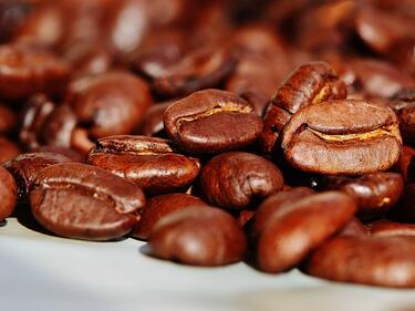 Цената на сорта кафе робуста достигна до най-високото си ниво от 45 години насам,