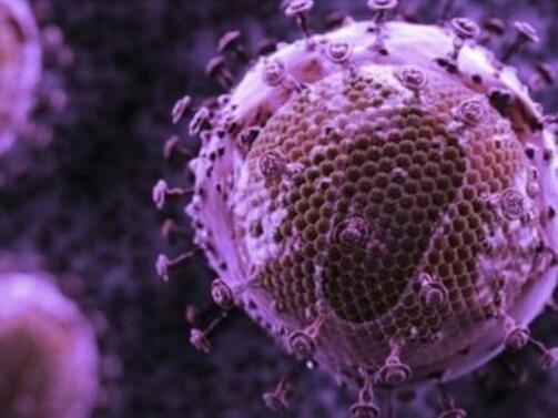 Нов вирус започва да циркулива в страната ни Парвовирус B19