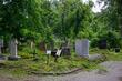 Започна косенето и премахването на храсти и клони в зелените площи на Централните софийски гробища