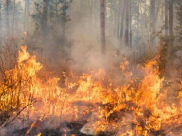 Пожар гори в Гърция, в близост до границата с България