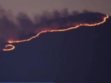 Пожарът на българо-гръцката граница е изпепелил 11 хил. дка и още гори