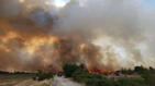 Пожар бушува между Хисаря и Съединение, извикаха хеликоптер да помага