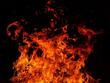 Пожар гори до Водноелектрическата централа в Асеновград