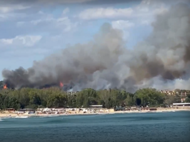 Потушиха големия пожар в Созопол