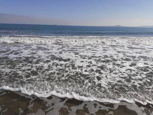 Голи куражлии посрещнаха новата година в студените води на морето