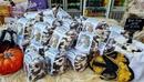 Смилянският боб достигна рекордна цена от 25 лева за килограм