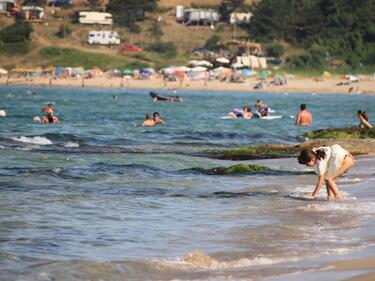 Отчитаме повече туристи по Черноморието това лято