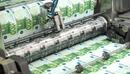 Страната ни става част от европейската система за печатане на еврото от януари 2026 година
