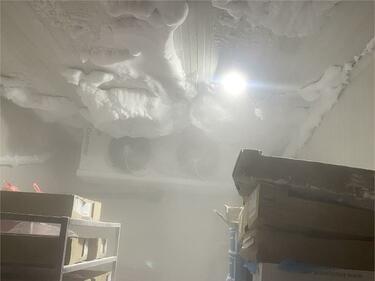 БАБХ затвори месопреработвателно предприятие в Монтана
