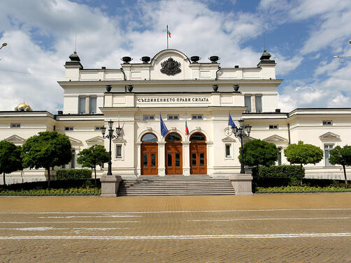 Протестиращи влязоха доброволно в тесни клетки пред сградата на Народното