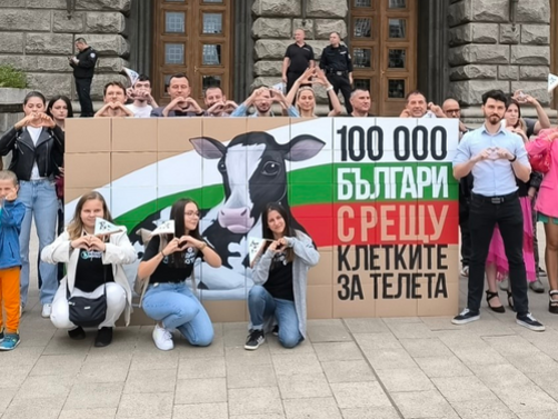 Организацията за защита на животните Невидими животни проведе демонстрация пред