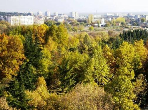 Паркът Заимов в София се преименува на Оборище реши вчера