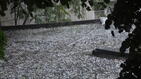 Валежи и гръмотевични бури по планините и в Източна България
