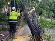 В София разчистват последиците от бурята